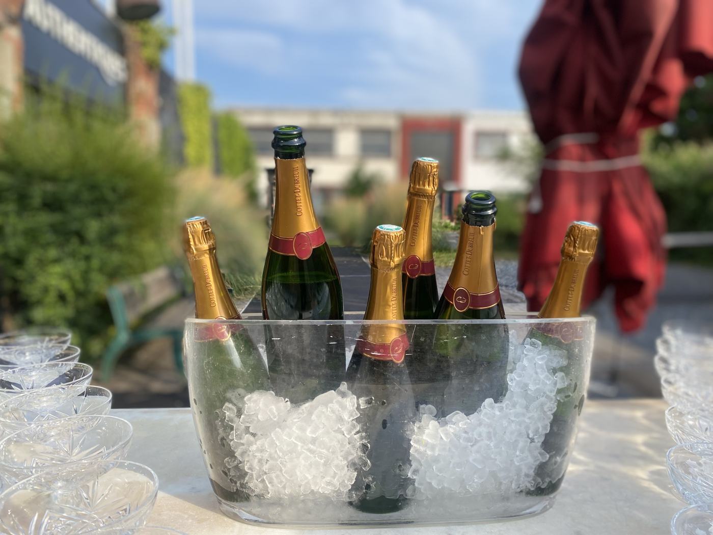 Seau de bouteilles de champagne sur glace dans un jardin