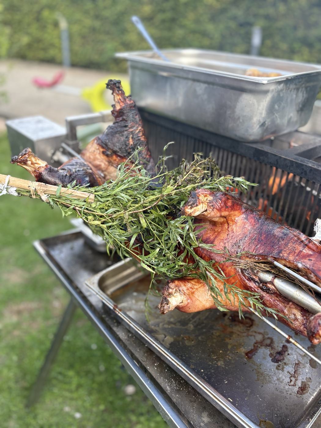 Cochon de lait rôti à la broche, couvert de romarin